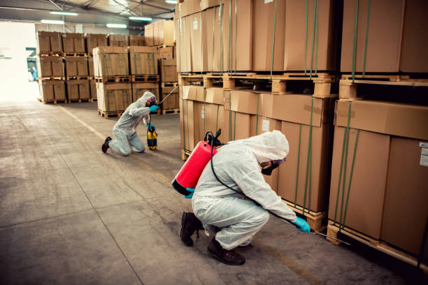 Best Affordable Pest Control Services  in Center Line, MI