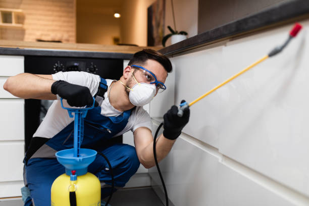 Best Affordable Pest Control Services  in Center Line, MI