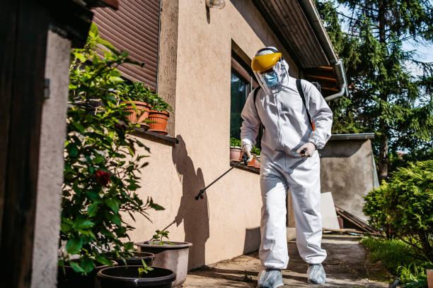 Best Termite Control Services  in Center Line, MI