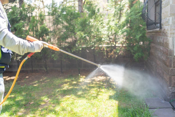 Best Residential Pest Control  in Center Line, MI