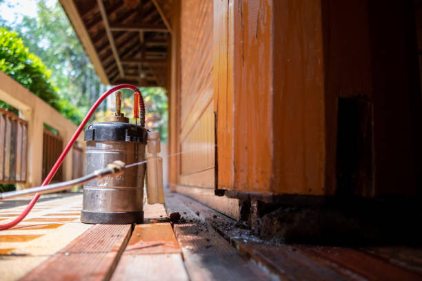 Best Ant Control Services  in Center Line, MI