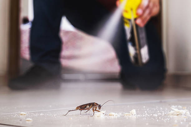 Pest Control Cost in Center Line, MI