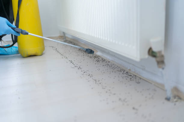 Best Local Pest Control Services  in Center Line, MI